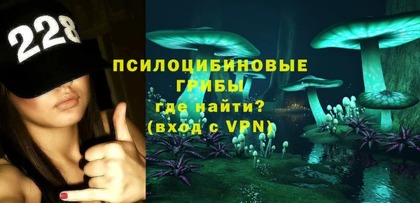 спиды Медвежьегорск