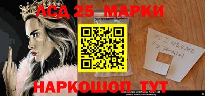 молекула духа Камышлов