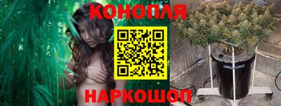 молекула духа Камышлов