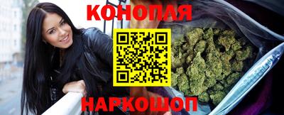 молекула духа Камышлов