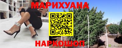 молекула духа Камышлов
