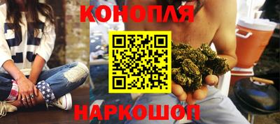 молекула духа Камышлов