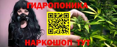 прущие грибы Кандалакша