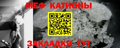 прущие грибы Кандалакша
