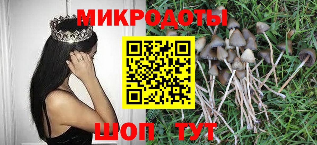 Псилоцибиновые грибы GOLDEN TEACHER Шатура