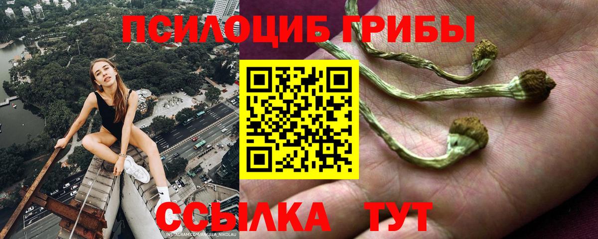 Шатура  Псилоцибиновые грибы MAGIC MUSHROOMS  Вход с VPN  Галлюциногенные грибы Cubensis 