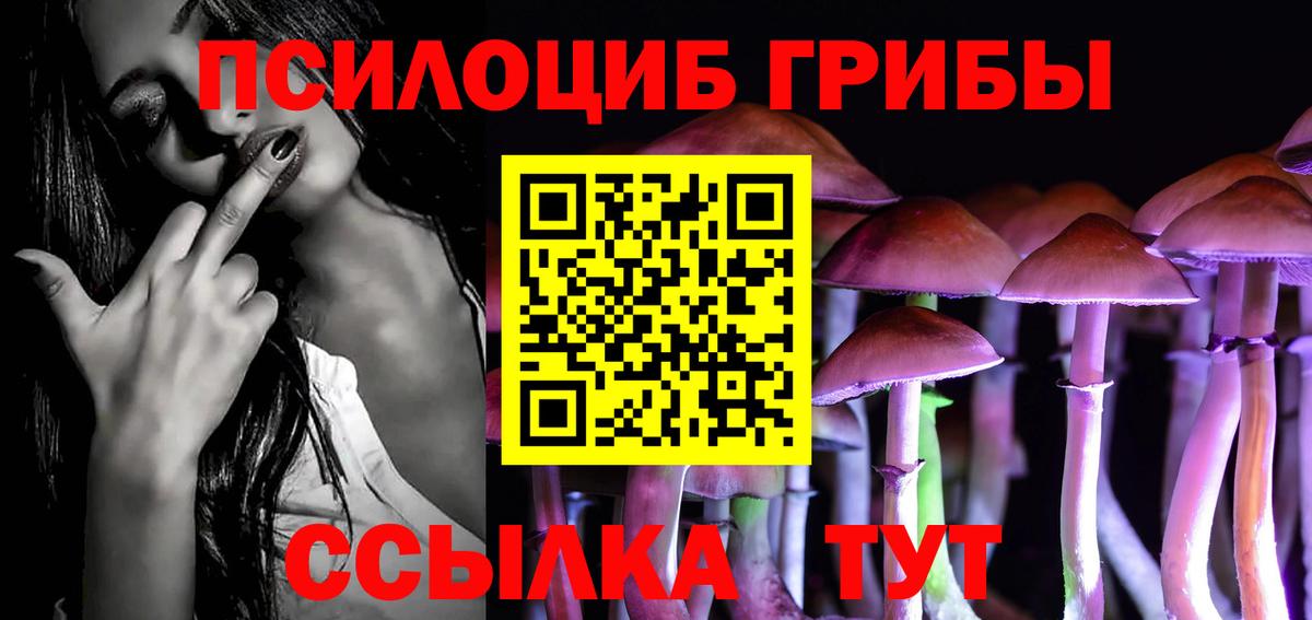 Псилоцибиновые грибы GOLDEN TEACHER Шатура