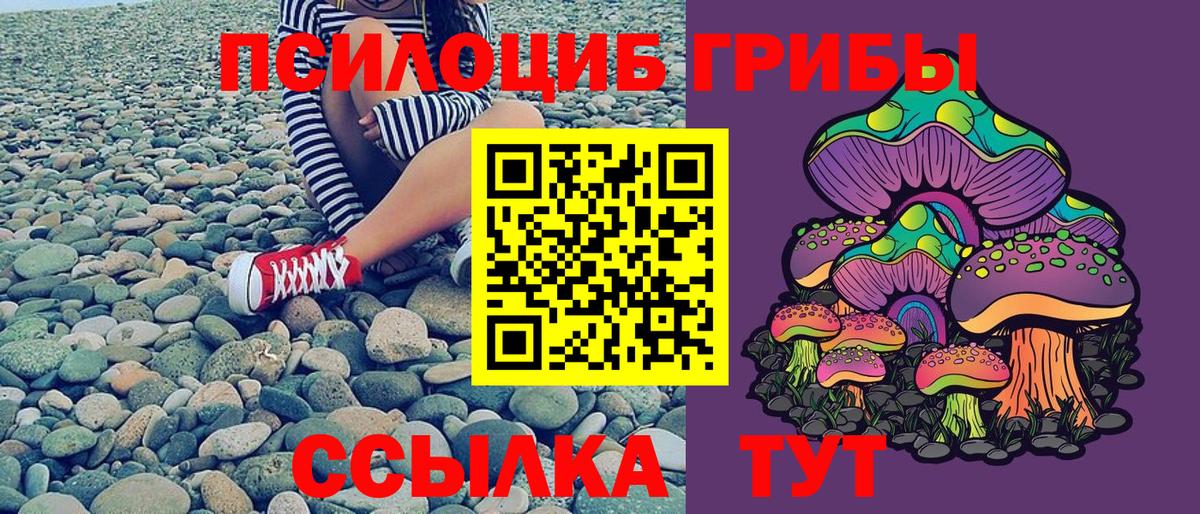 Псилоцибиновые грибы мухоморы  Галлюциногенные грибы мухоморы  Шатура 