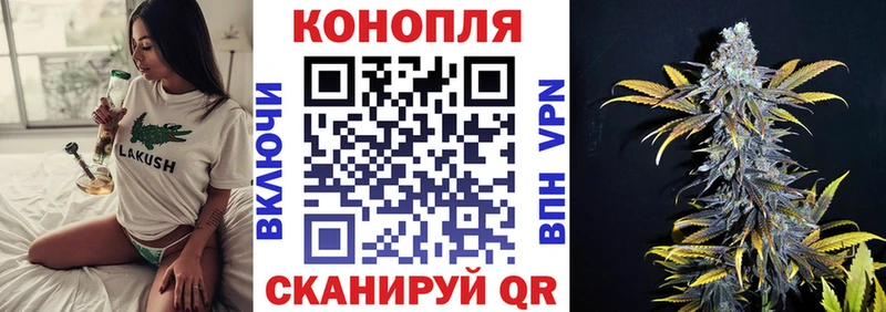Шишки марихуана семена  закладки  Шатура 